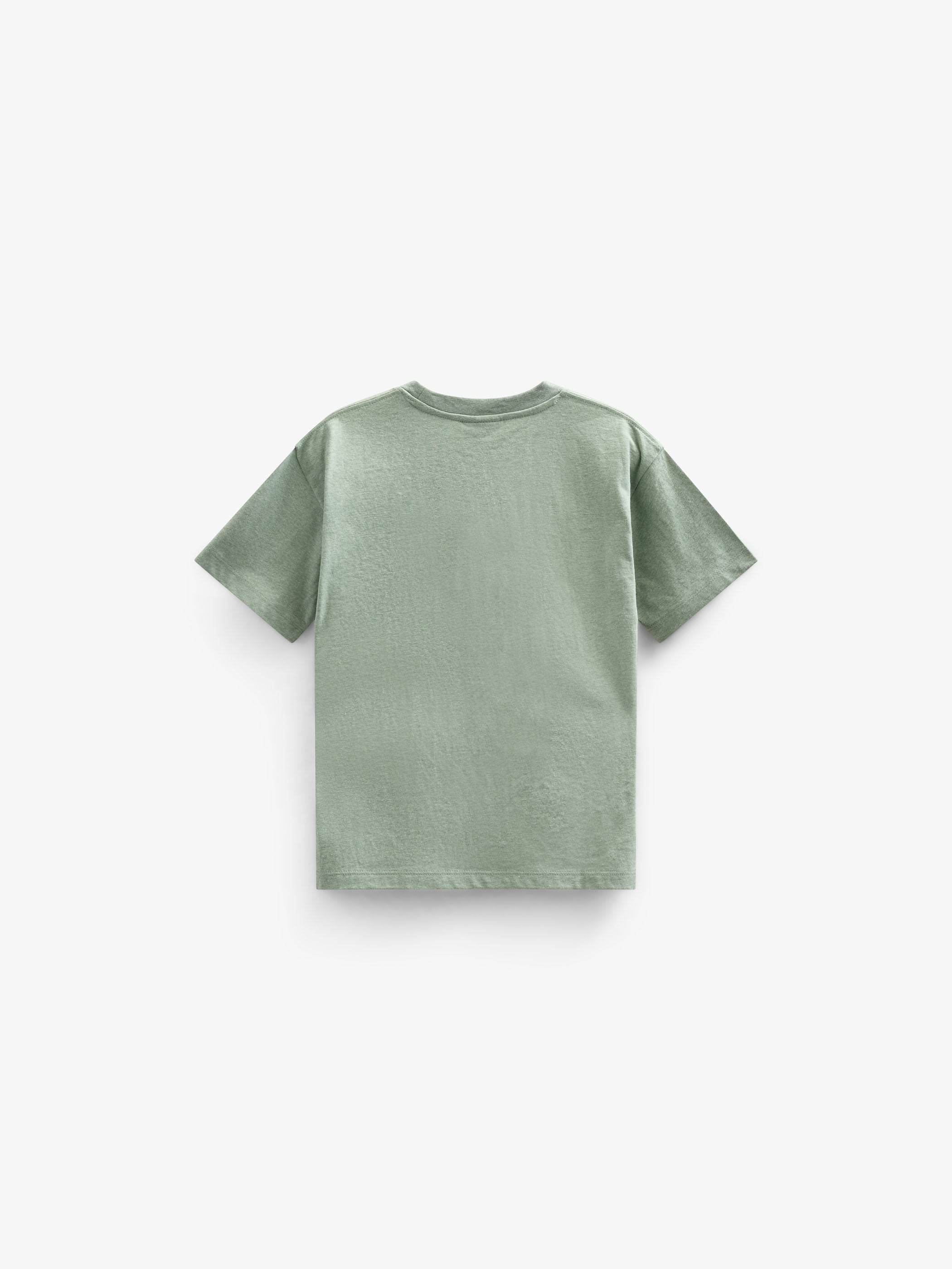 Croquet T-shirt - Tween - Light Green Melange | 101339 Vincent