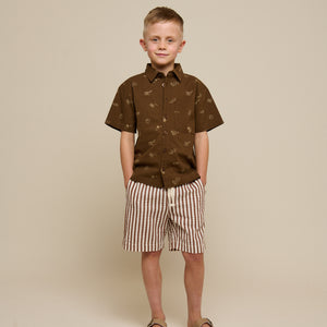 Striped Seersucker Shorts - Tween - Brown | 101188 Frank