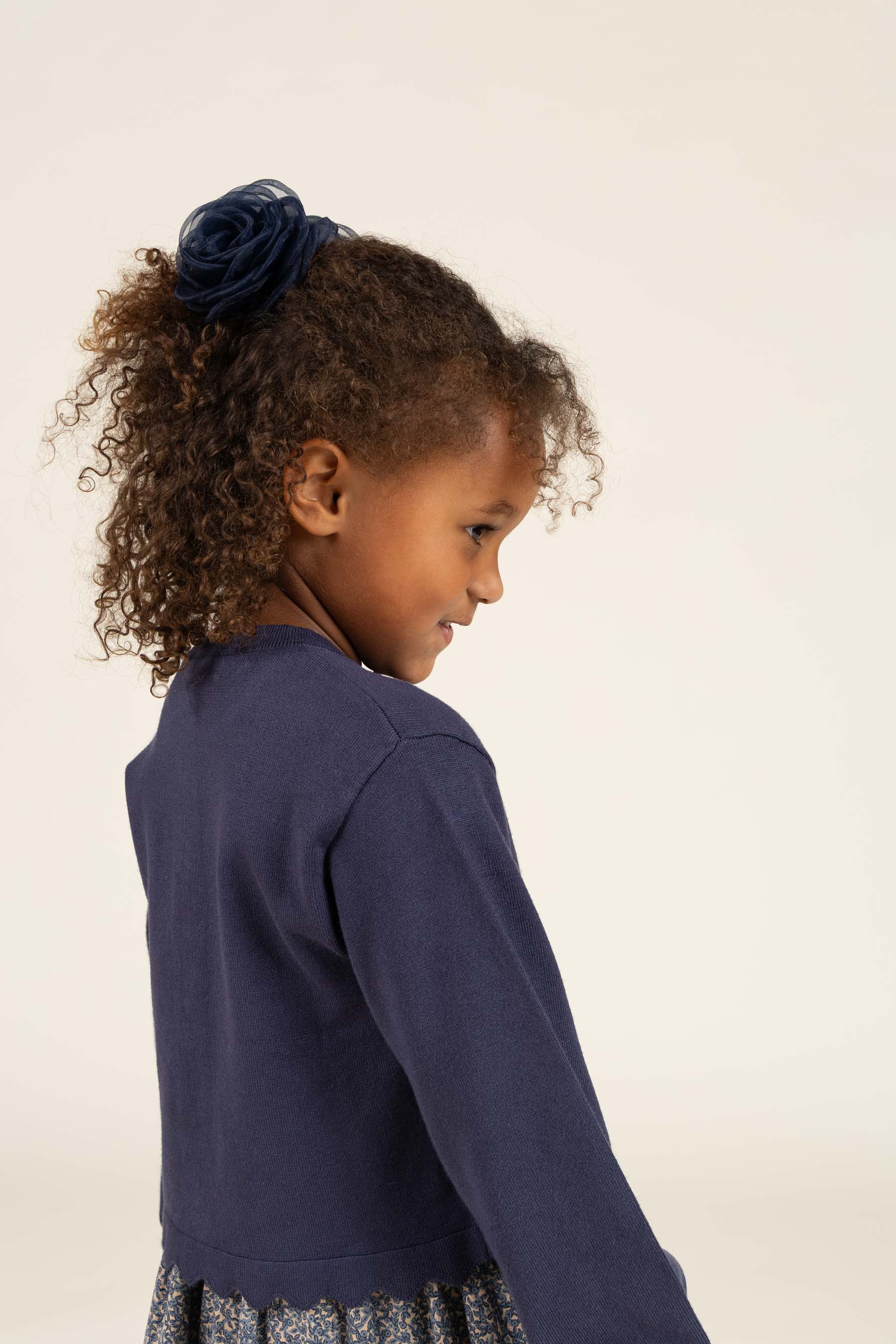 Claw Hair Clip - All - Navy | 100713 Rosie
